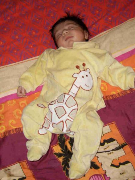 un petit dodo
