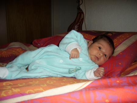 la pose
