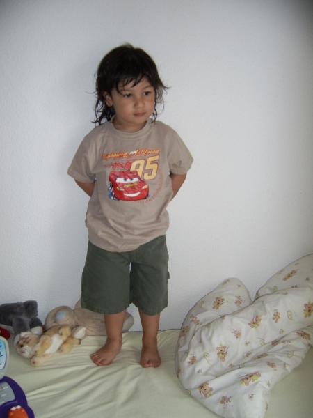 la pose
